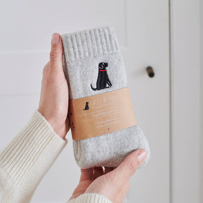 Sweet William Wollsocken - Black Labrador