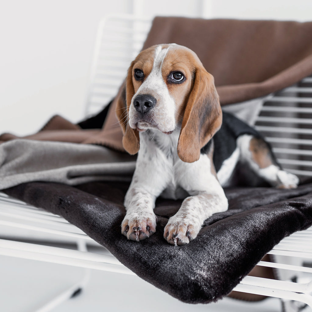 Premium Faux Fur Dog Pillow | Ladenhüter CLASSICS 